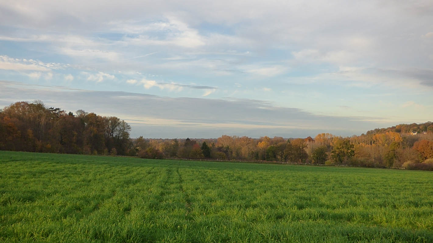 Vallée de l'Ysieux (novembre 2015)